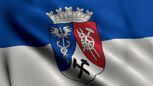 Waving Flag Animation with Detailed City Coat of Arms