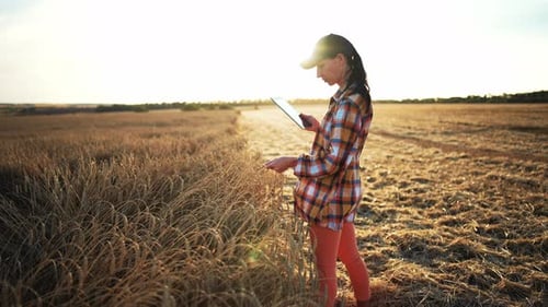 Woman Agronomist Farmer Stands and Holds Tablet in Her Hands Checks Harvest in Wheat Field Modern