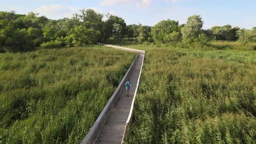 Drone following a young healthy man,running on the wooden path amidst lush greenery at old Cedar Ave