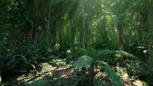Lush Tropical Forest Dolly Shot Background Animation