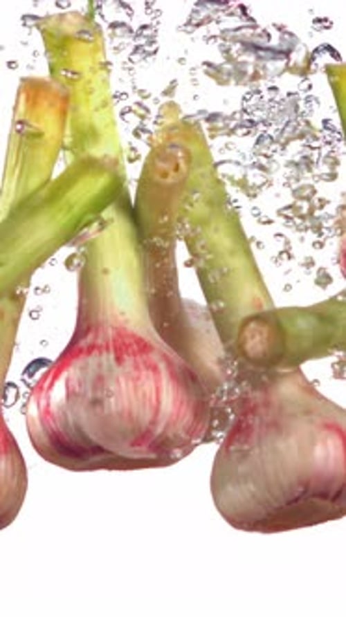 Super Slow Motion Heads of Fresh Garlic Fall Under the Water on a White Background Filmed on a