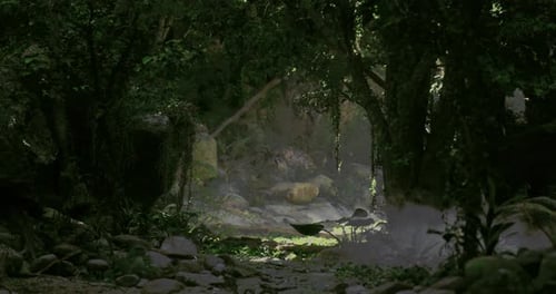 Lush Forest Pathway Illuminated By Gentle Sunlight in the Early Morning