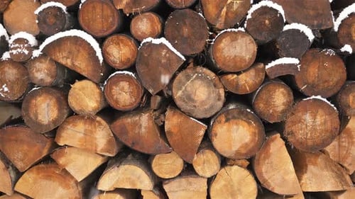 It is Snowing over Pile of Firewood Background Fire Wood for Winter Season