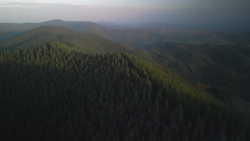 Flying Over Green Forest at Cloudy Day with the Mountains on Horizon with Glowing Clouds Carpathian
