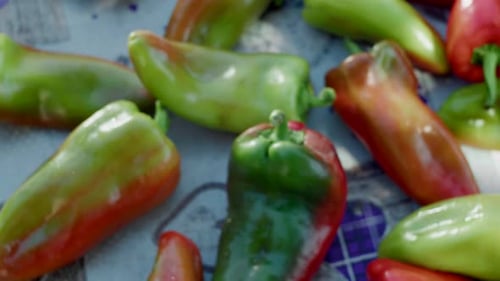 Nahaufnahme verschiedener grüner und roter Paprikasorten, nach oben kippbare Enthüllung