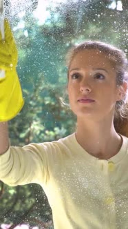 Young Attractive Woman Cleaning a Window with a Special Detergent Spray and a Brush