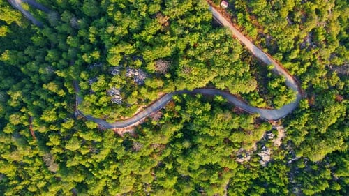 Stunning aerial 4k drone footage of a empty road that glides through a lush, forested landscape. Top