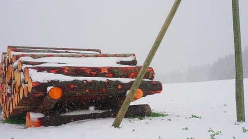 Logs Stacked in Snow Covered Rural Landscape