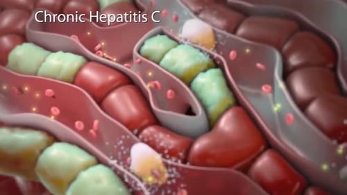 Scientific 3D Animation of Hepatitis C Virus Infection