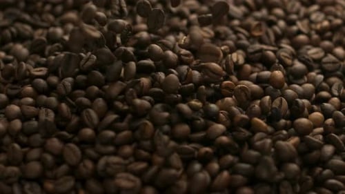 Coffee Beans, Coffee