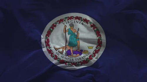 Realistic Waving Virginia State Flag Animation