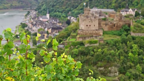 Picturesque viewpoint of the UNESCO town of St. Goar and Burg Rheinfels Castle next to a vineyard