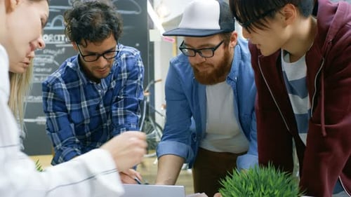 Team Collaborates on Project in Office Meeting