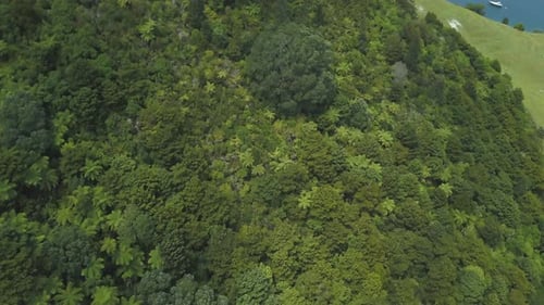 Aerial View of Mount Maunganui Forest and Rural Areas