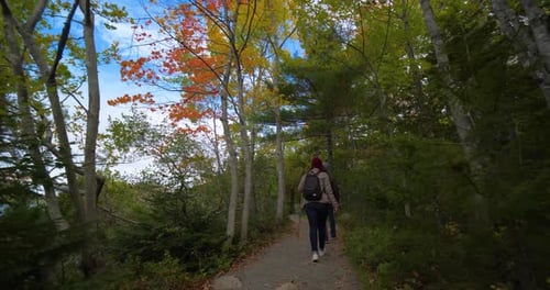 Couple Hiking Through Forest, Mountains Man Woman Slow Motion