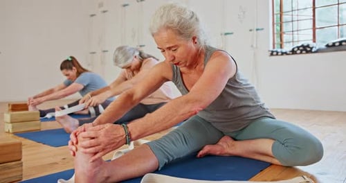 Senior woman, group and stretching with yoga class for zen, health and wellness together