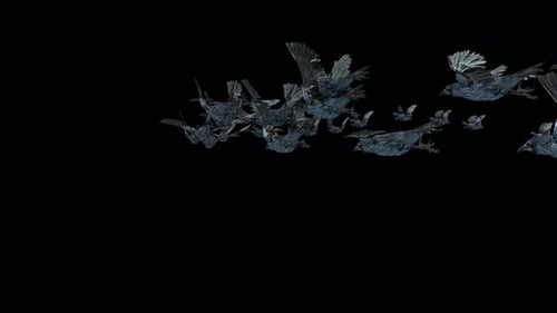 Abstract Fragmented Crystal Birds Flying Motion Graphic