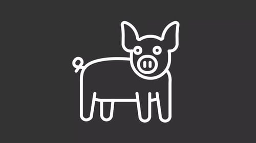 Minimalist Animated Pig Outline Icon