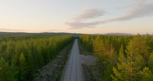 Flying Over Empty Asphalt Road By Spruce Forest In Lapland, Northern Sweden. Aerial Drone Shot