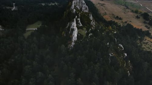 Aerial View of a Winding Road Through Dense Forest in Mountainous Terrain