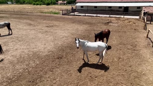 Pferderanch hoch in den Bergen von Kappadokien, Luftbild, 4 K