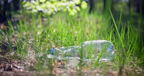 Woman Picking Up a Plastic Bottle Lying on the Grass While Collecting Trash in the Forest