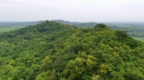 Drone flying over green dense trees of forest on hilly landscape.