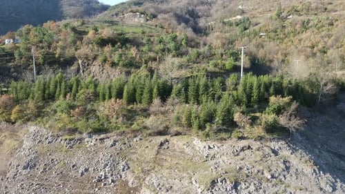 Wald Berge Sommer