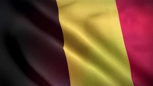 Realistic Waving Belgium Flag Loop with Dynamic Lighting