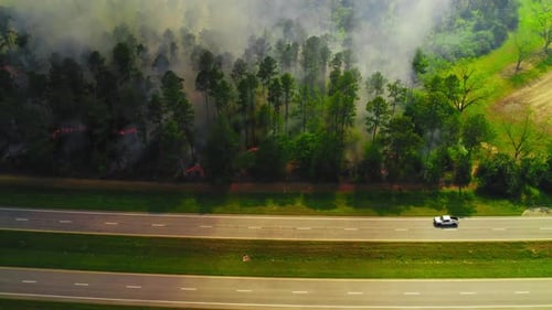 Dramatic aerial footage of a wildfire raging through a forest in Georgia, USA.