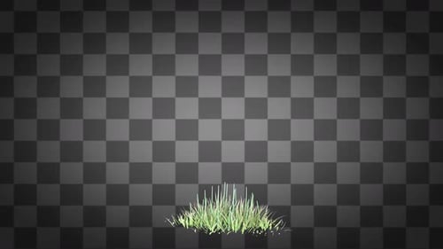 Time-Lapse Grass Growing Alpha Channel Animation
