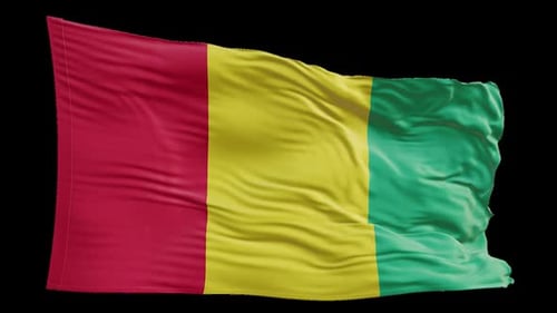 Realistic Waving Guinea Flag Animation