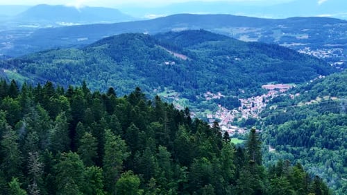 Aerial orbiting view of a dense conifer forest revealing tranquil village in a narrow valley
