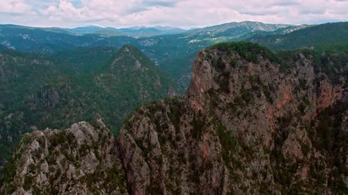 Canyon Forest and Mountains
