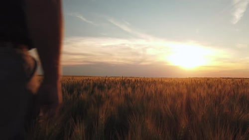 Farmer Walks Through Wheat Field at Sunset