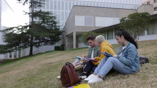 University Students Studying Together Sitting on the Grass at College Campus