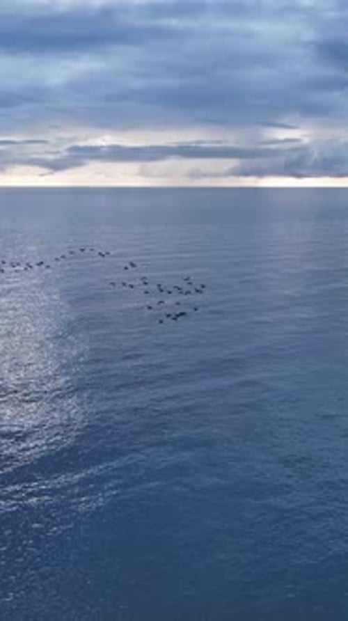 Vertikales Video Coastal Symphony Luftbild der stimmungsvollen Mittelmeerküste mit Filmmusik Meer