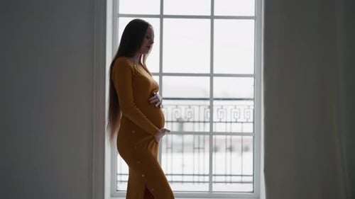 Beautiful Pregnant Woman Standing By Window