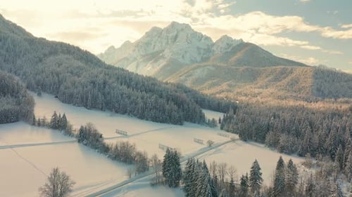 Aerial view of Ski Jump in Planica