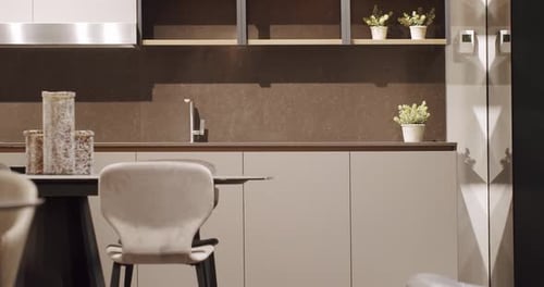 Modern Kitchen Interior with Sleek Design