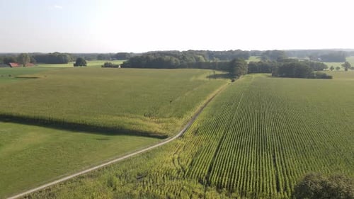 Aerial View of Rural Farmland on a Sunny Day