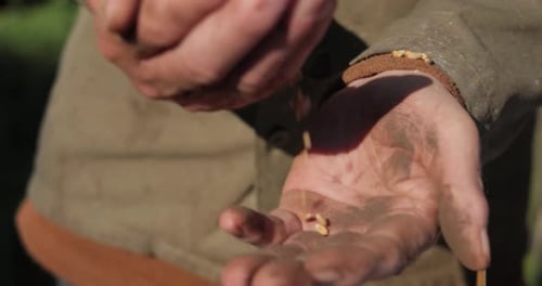 Adult Hands Pouring Grain in Rural Environment
