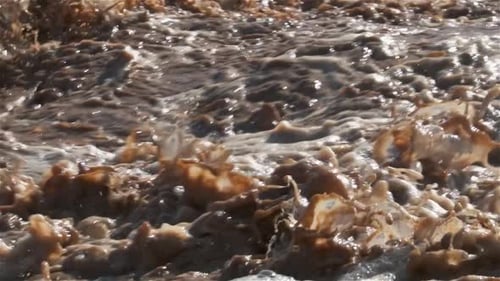 Brown Water Rapids Splashing Torrential Flood