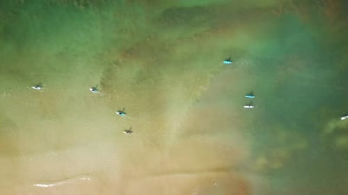 SUP surfers paddling along a Mediterranean coast