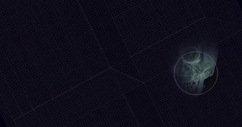 Semi-Transparent Human Skull Graphic