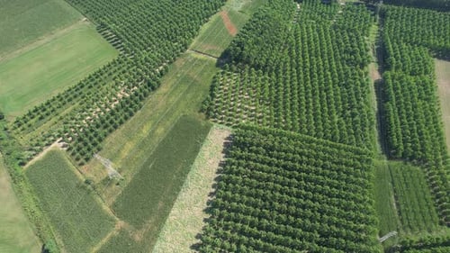 Regular Agricultural Lands