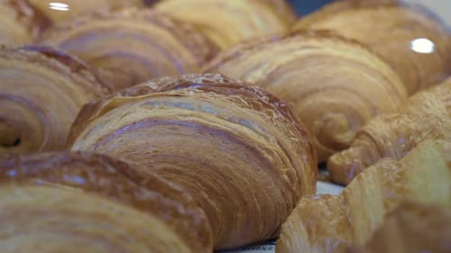 Fresh Baked Croissant in a Bakery