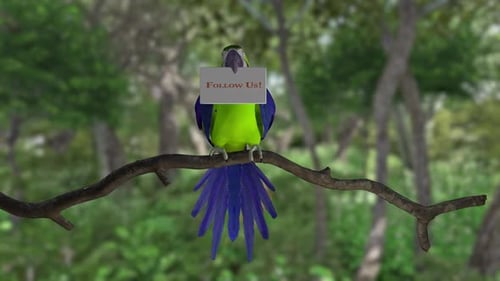Animated 3D Parrot Landing with Follow Us Sign
