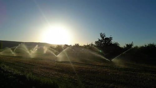 Automatische Bewässerungssysteme werden auf landwirtschaftlichen Feldern eingesetzt