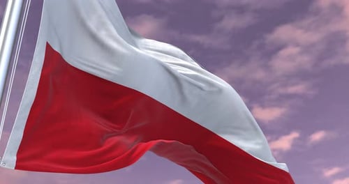 Poland Flag Animation Minimal Corporate Video